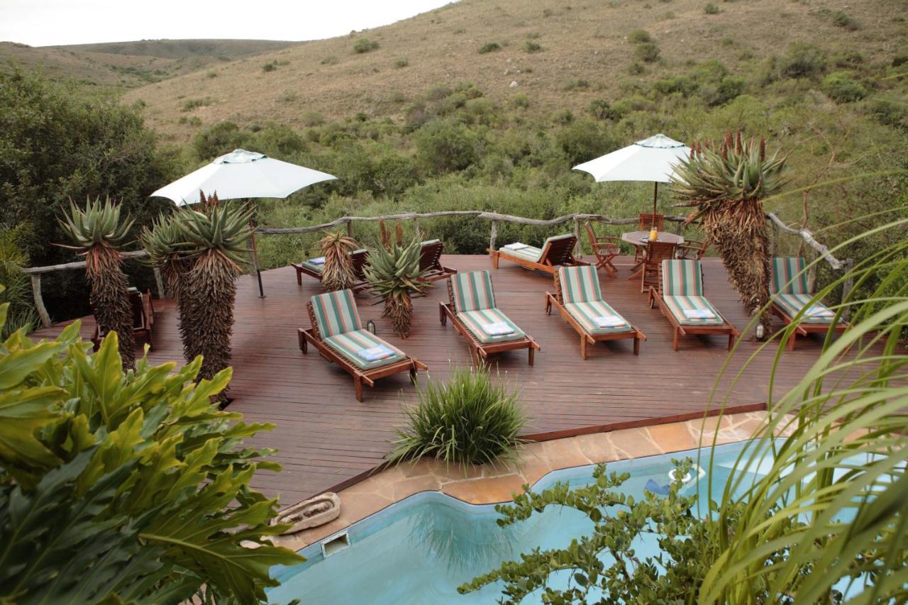 Lalibela Game Reserve Lentaba Safari Lodge Paterson Zewnętrze zdjęcie