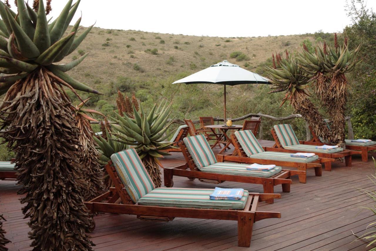 Lalibela Game Reserve Lentaba Safari Lodge Paterson Zewnętrze zdjęcie